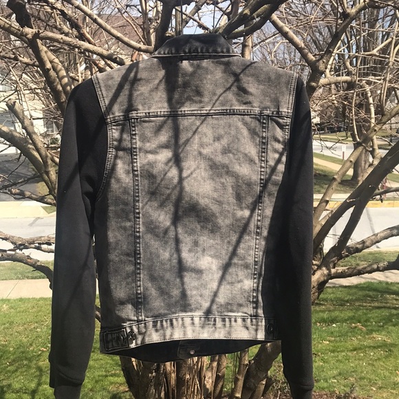 Jacket - Picture 4 of 5